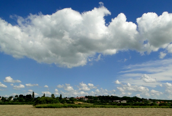 BialosliwieZ 5 17.JPGstyle=margin:5px