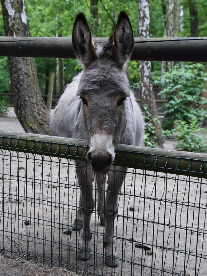 a poznan 2023 29.JPG
