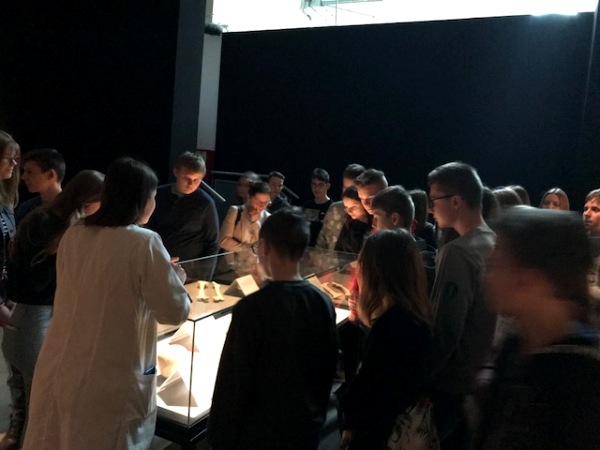 anatomia 5 11 17.jpg