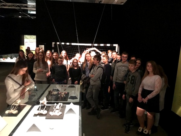 anatomia 6 11 17.jpg