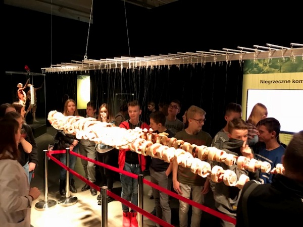 anatomia 7 11 17.jpg