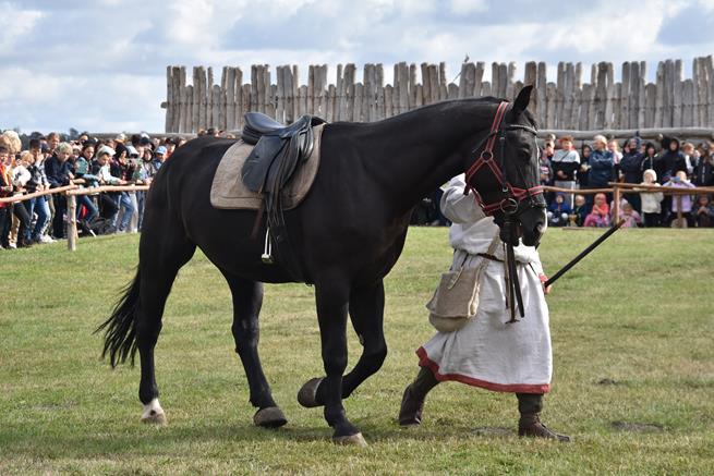 biskupinNN 2022 11.JPG