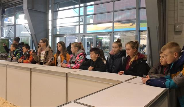 cavaliada5 2019P.jpg