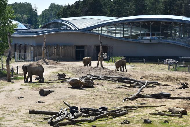 drugie poznan18 2022.JPG