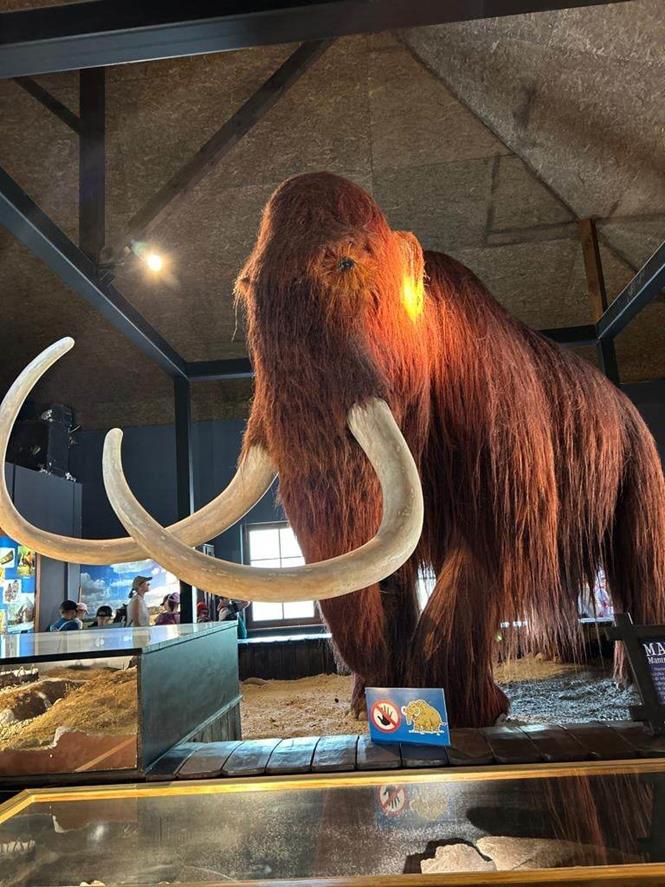 jura park10 2023.jpg