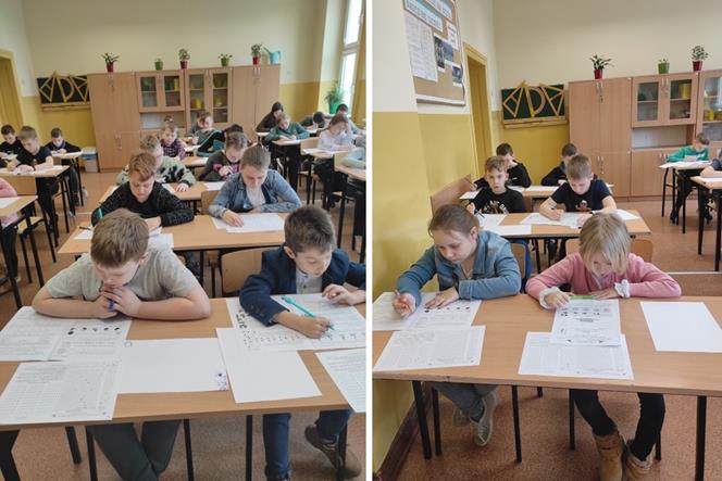 kangurzyca5 2023.JPG