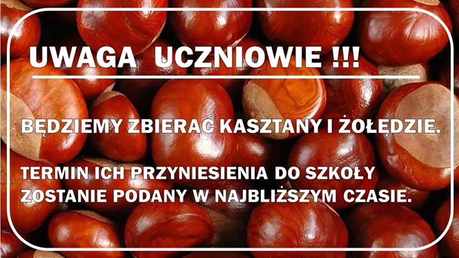kasztany zoledzie zbiorka 2021.jpg