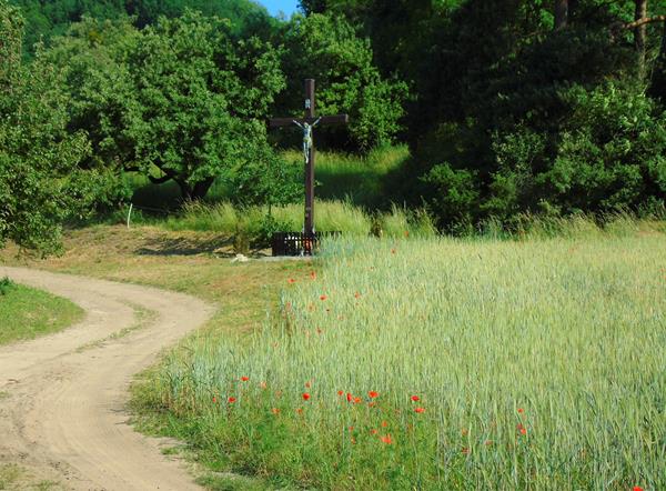 krostkowo14 2018.JPG