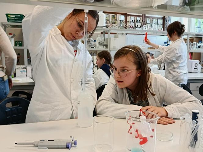 laborator cwicz2 2025.jpg