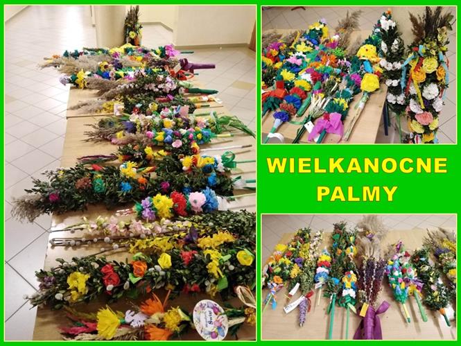 palmy szkolne 1 2023.jpg