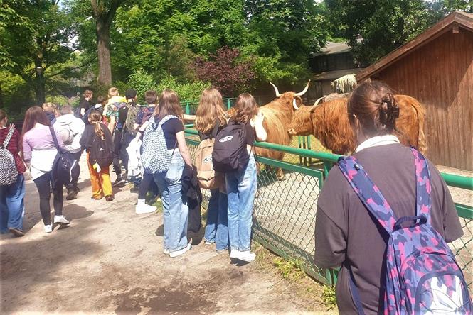 pyry siodme2 2023.jpg