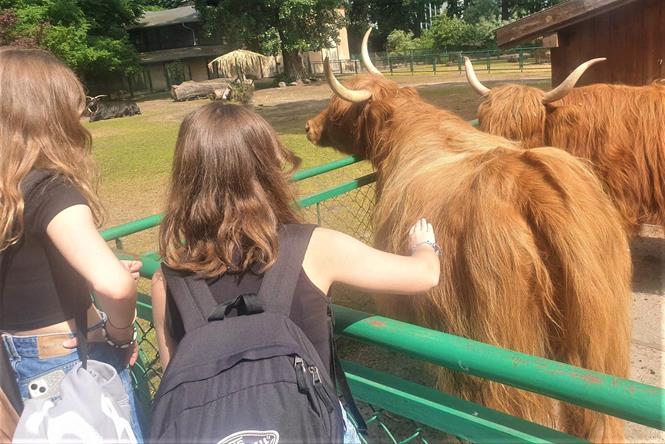 pyry siodme3 2023.jpg