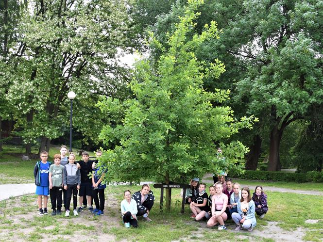 regionalna park6 2021.JPG