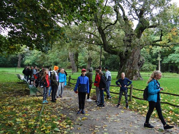 rogalin siodme13 2019.JPG