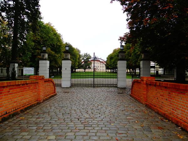 rogalin siodme3 2019.JPG