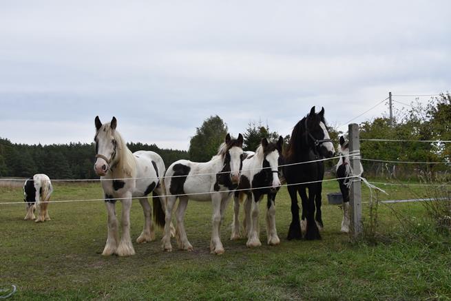 rower nowa 2022 18.JPG