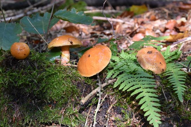 rower nowa 2022 23.JPG