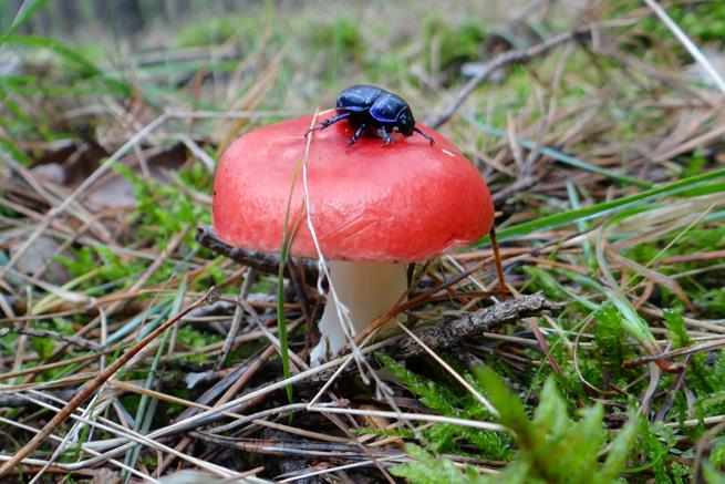 rower nowa 2022 25.JPG