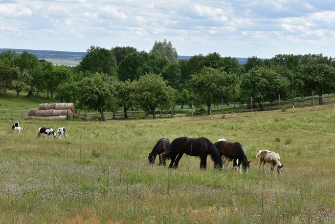 rowerowe wyjazdy17 2022.JPG