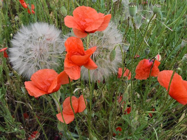 rowerowe wyjazdy21 2022.JPG