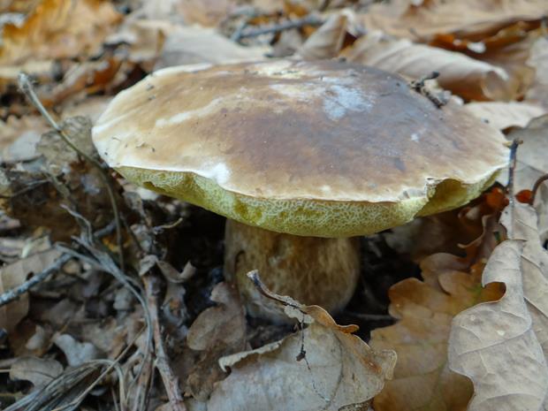 rowerzysci2019a 18.JPG