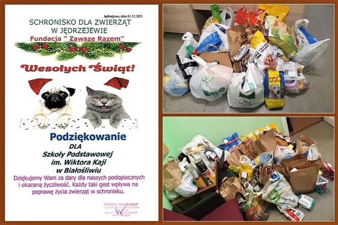 schronisko karma2021.jpg