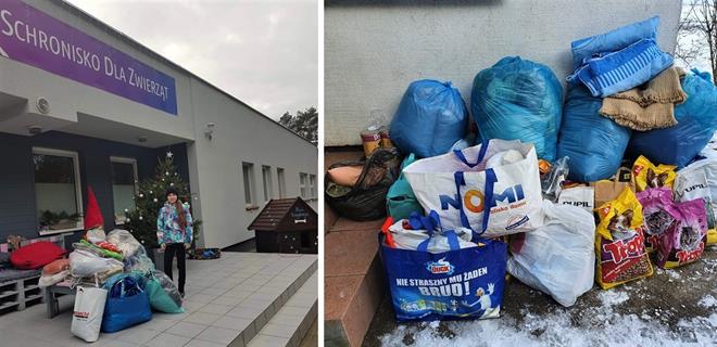 schronisko zbiorka dla zwierzat2021.jpg