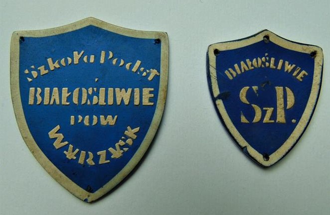 tarcza szkolna Bialosliwie.JPG