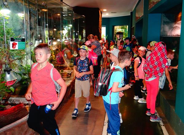 trampoliny12 2019Byd.JPG