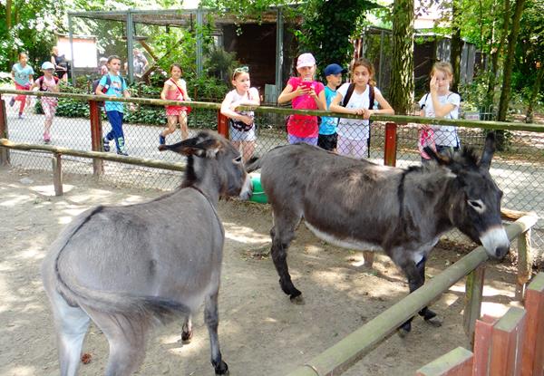 trampoliny13 2019Byd.JPG