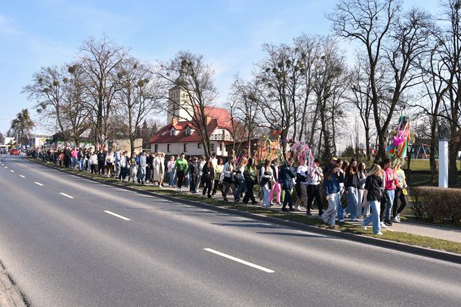 wiosna38abc 2025.JPG