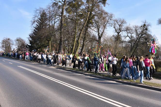 wiosna42abc 2025.JPG