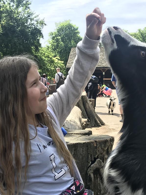 wroclawia16 2019.JPG