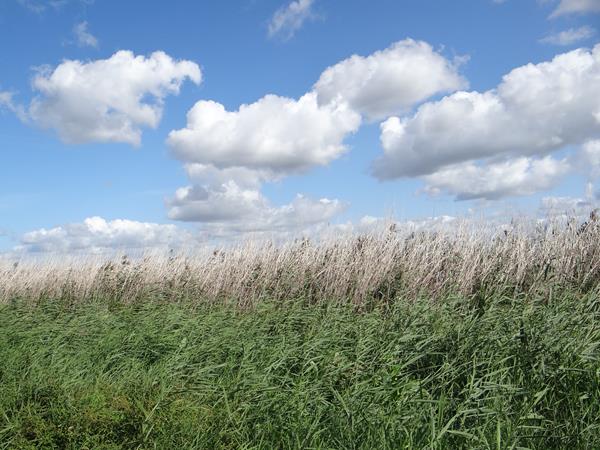 wycieczka sluza16 2019.JPG