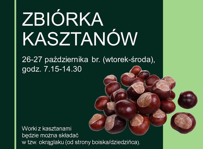 zbiorka kasztanow 2021.jpg